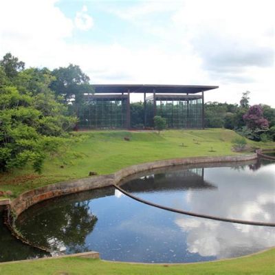 Jardim Botânico de Londrina:  Zielona Oaza Spokoju w Sercu Miasta!