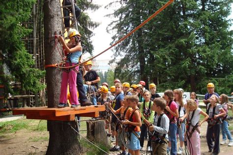 Park Linowy Skrzydlate - Wyzwanie dla Ducha Przygody i Piękne Widoki na Las!